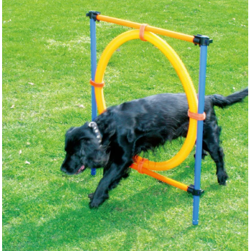 dog agility equipment manufacturers