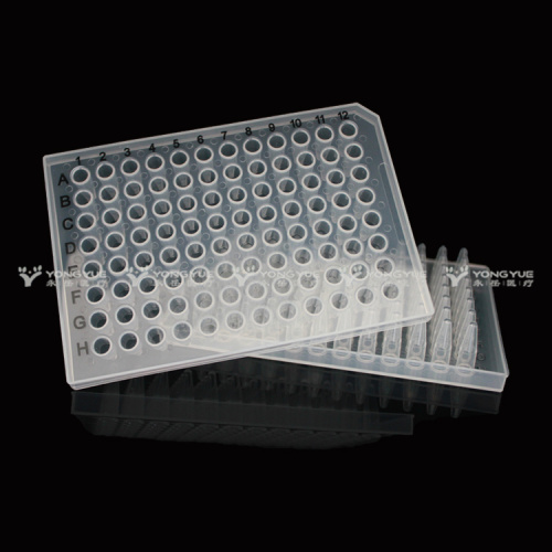 Best 0.2Ml 96 Well PCR Plates Half Skirt Transparent Manufacturer 0.2Ml 96 Well PCR Plates Half Skirt Transparent from China