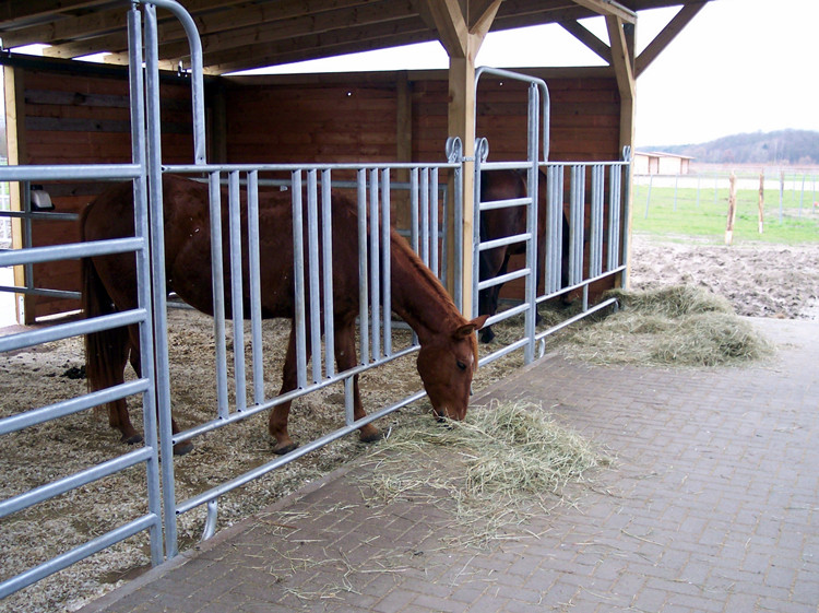 Livestock Horse Fence Panels  (6)