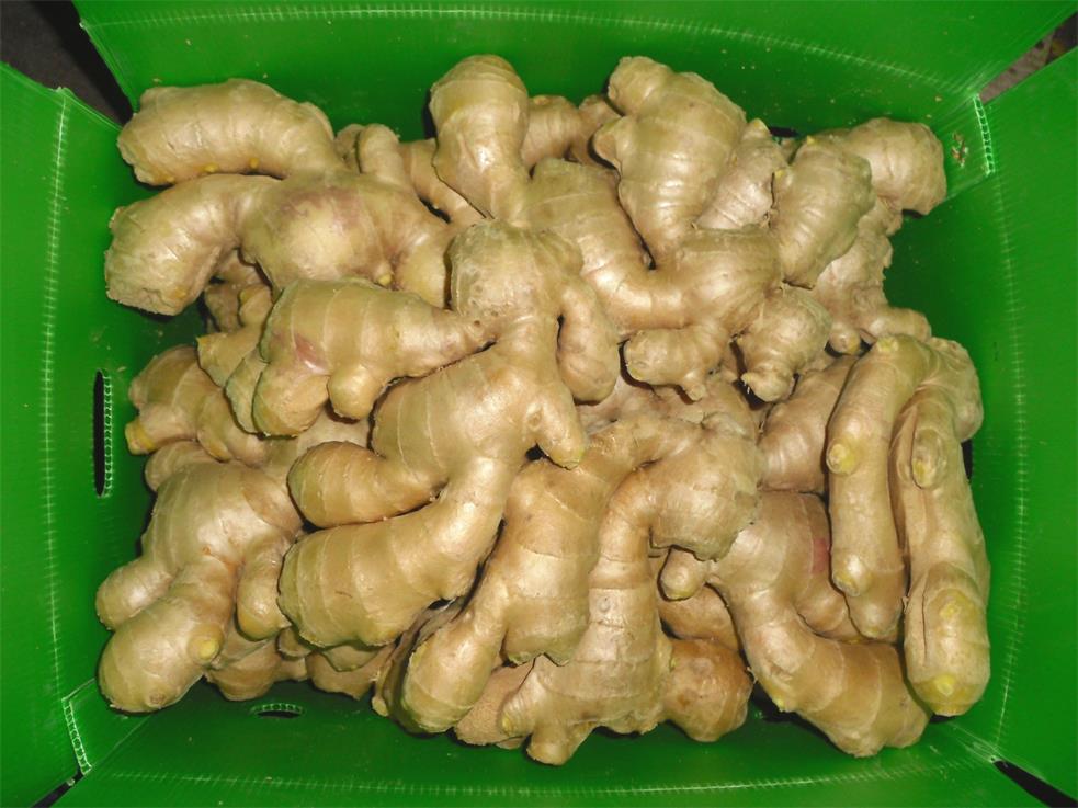 air dried ginger 1