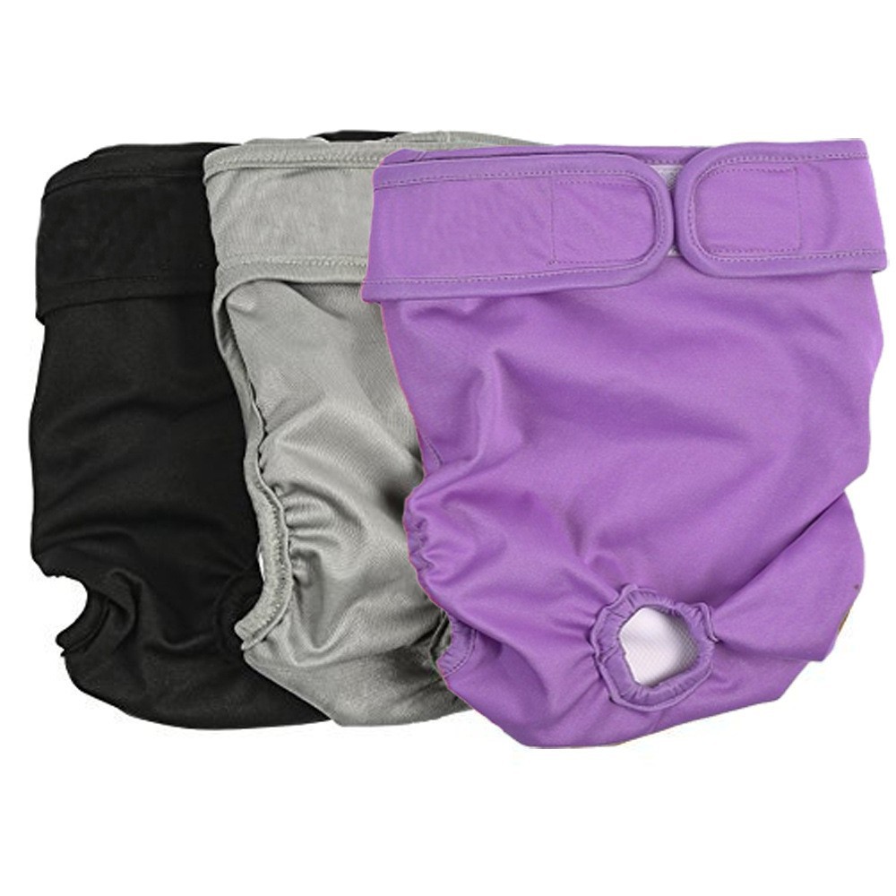 Physiological Pants For Dogs Physiological Pants For Dogs