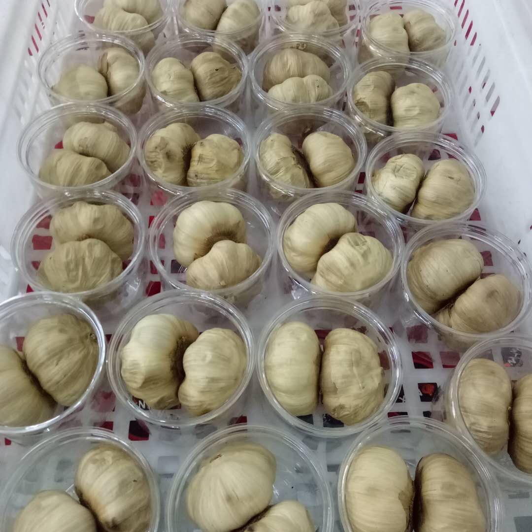 Schwarzer Knoblauch Black Garlic
