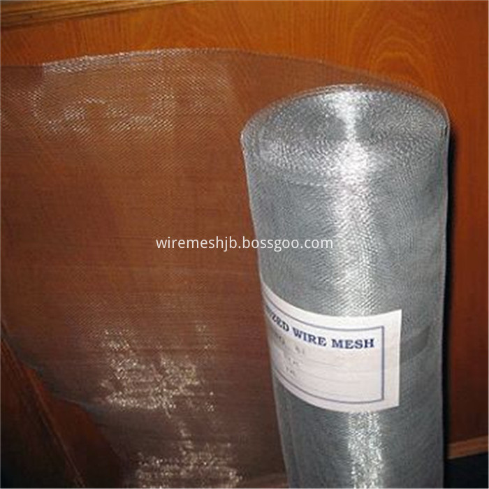 Galvanized Wire Mesh