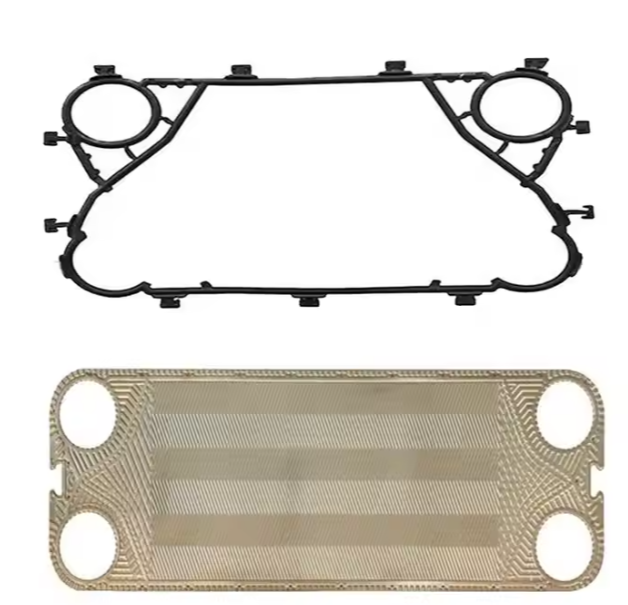 Plate 4 Plate 4