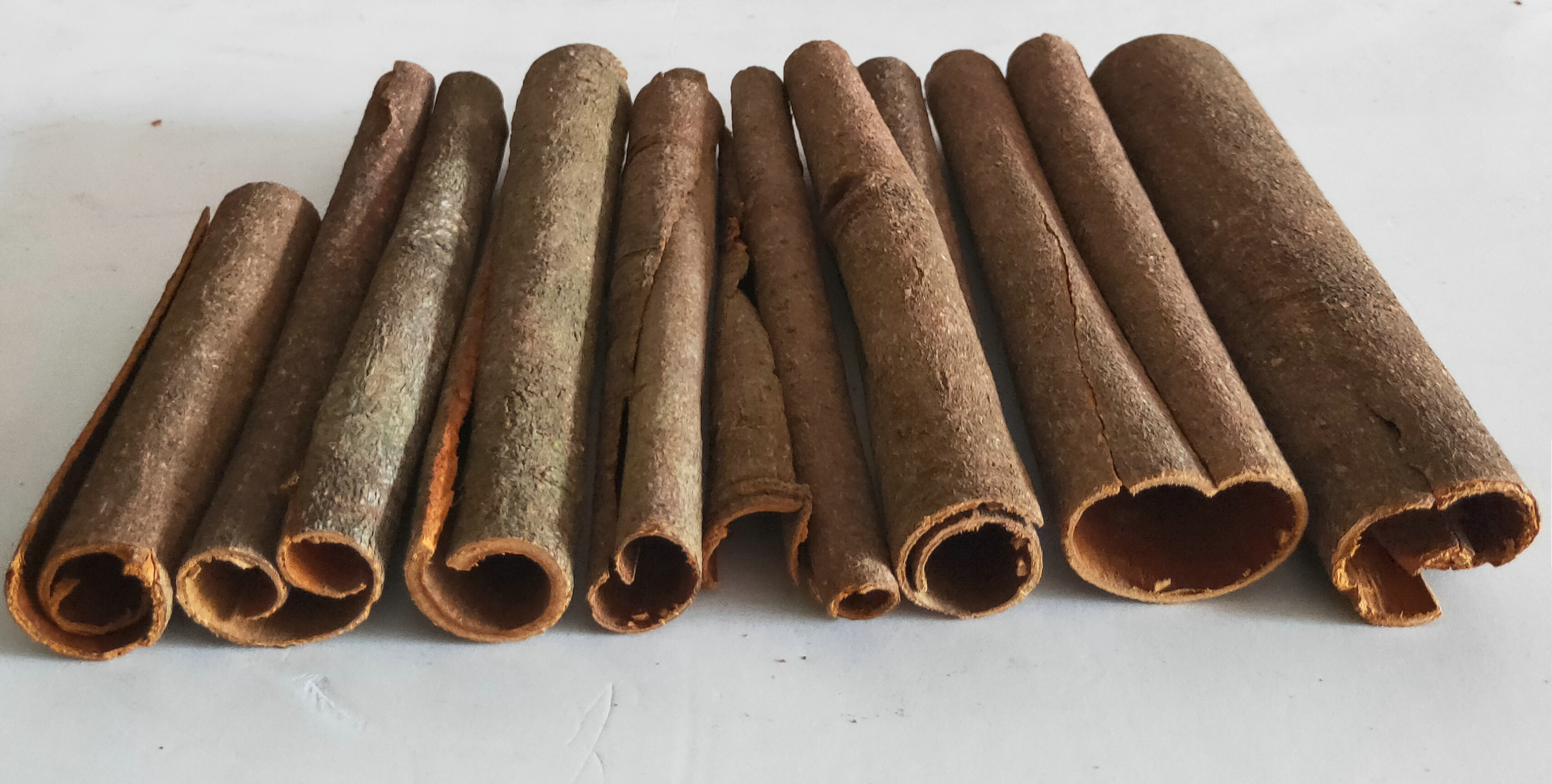 cassia bark stick cassia bark stick