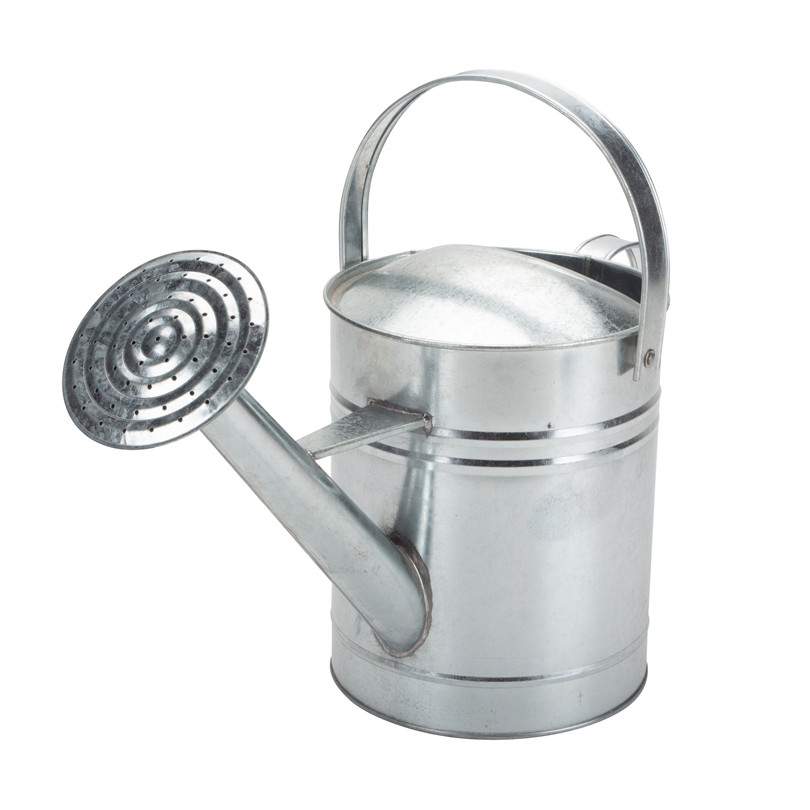 Galvanized Watering Can Large