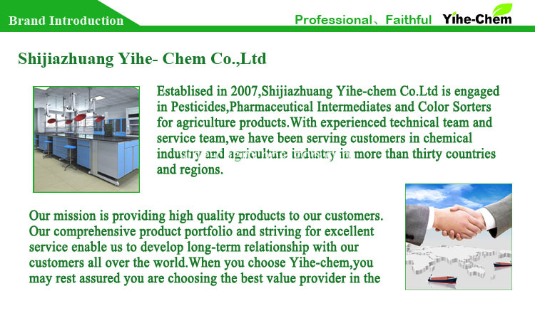 CAS № 17671-50-0 CAS No 17671-50-0