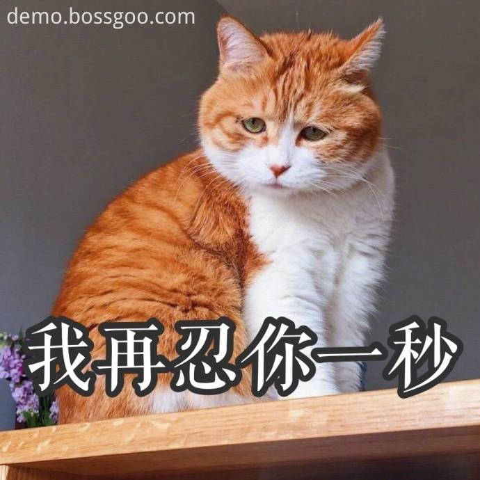 16 16