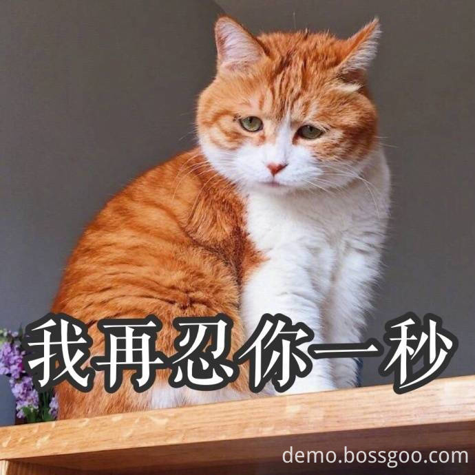 16 16