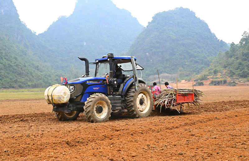 TAGRM sugar cane planter TAGRM sugar cane planter