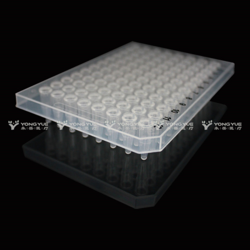 Best Real-time PCR Plate 0.2ml Manufacturer Real-time PCR Plate 0.2ml from China