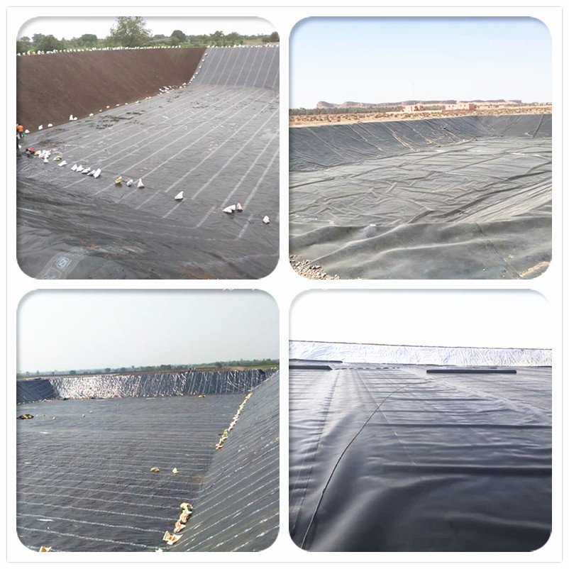 buy HDPE geomembrans for prawn farm buy HDPE geomembrans for prawn farm
