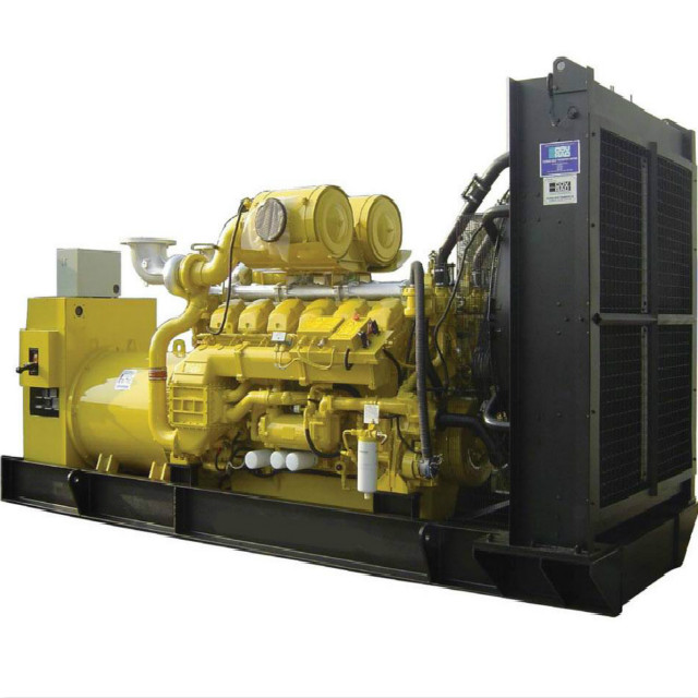 Perkins Diesel Generator