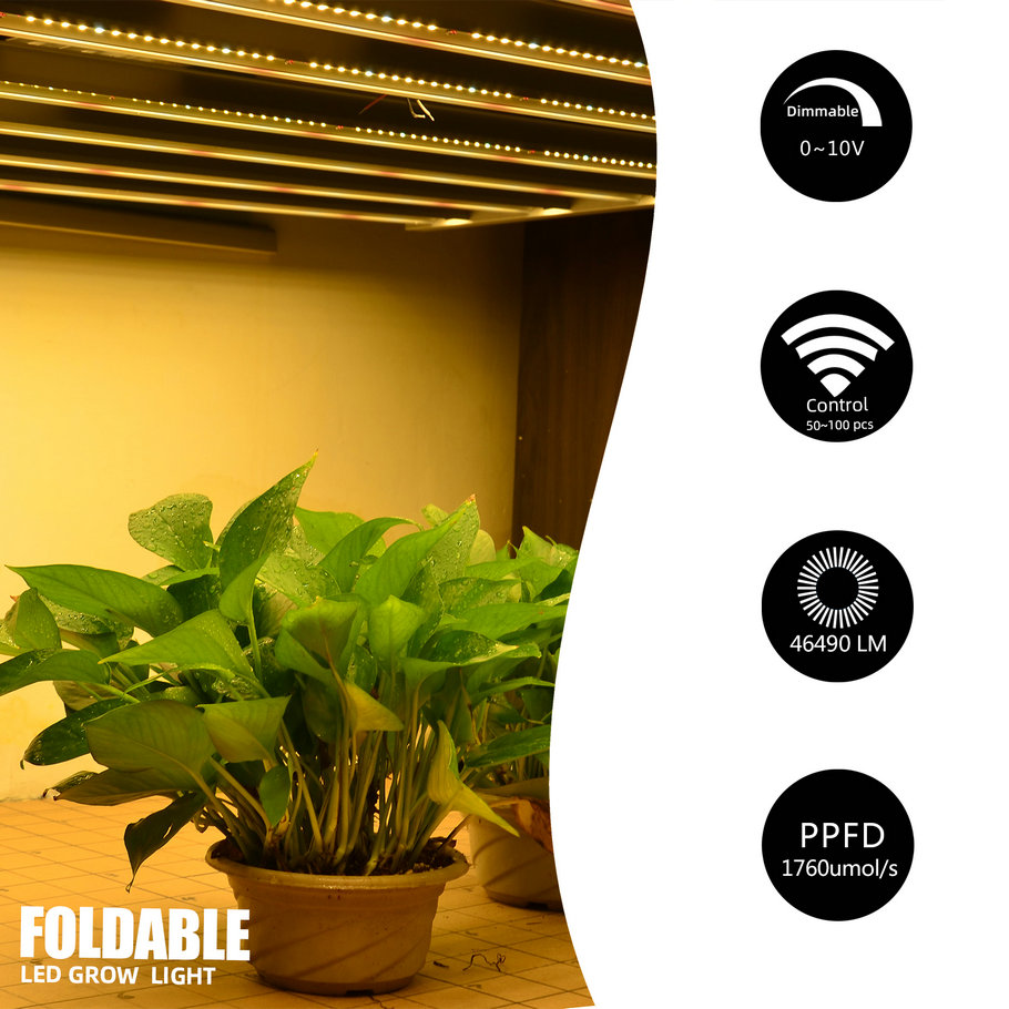 Led Grow Lights Jpg