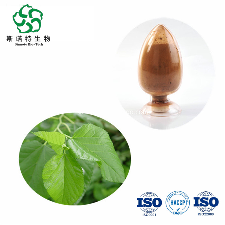 Mulberry Leaf Extract Mulberry Leaf Extract