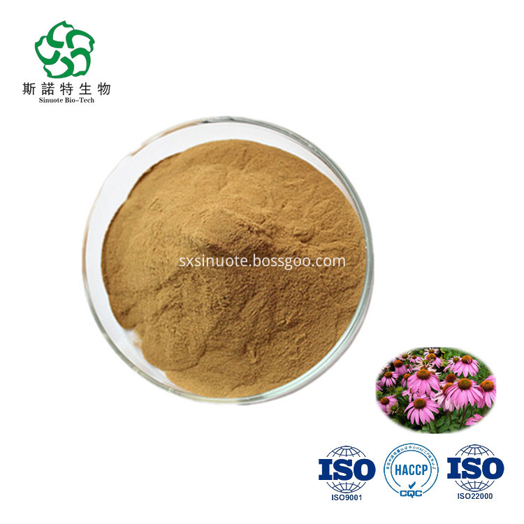 Echinacea Purpurea Extract Echinacea Purpurea Extract