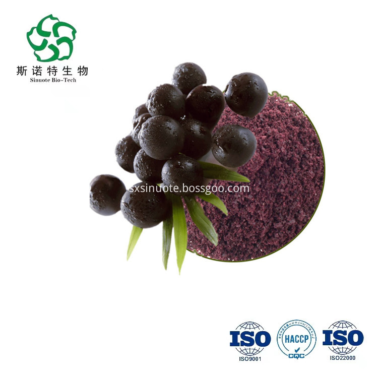 Acai Berry Powder Brazil Acai Berry Powder Brazil