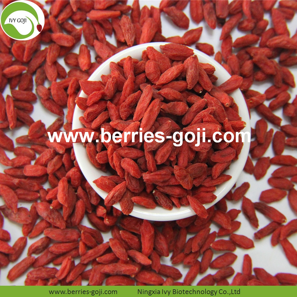 goji berry goji berry