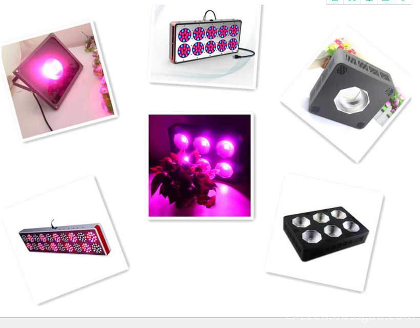 led grow light 