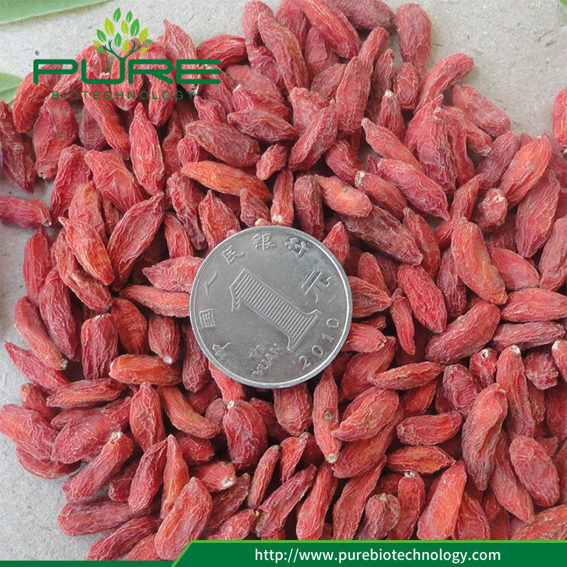 Güneş Kurutulmuş Himalayalar Goji Çilek Sun Dried Himalayas Goji Berries