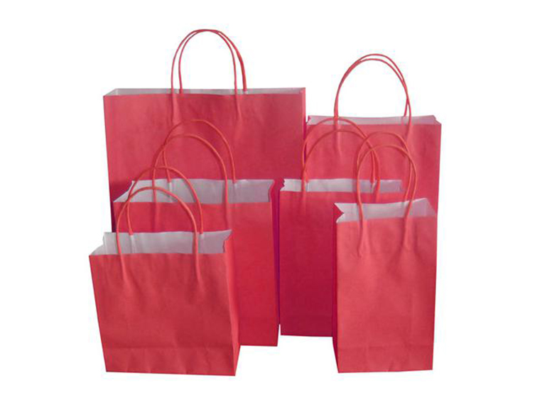 Paper carrier bag3