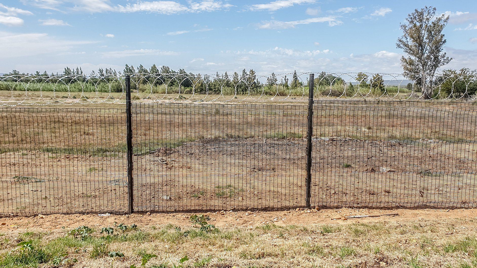 PVC curved wire mesh fence PVC curved wire mesh fence