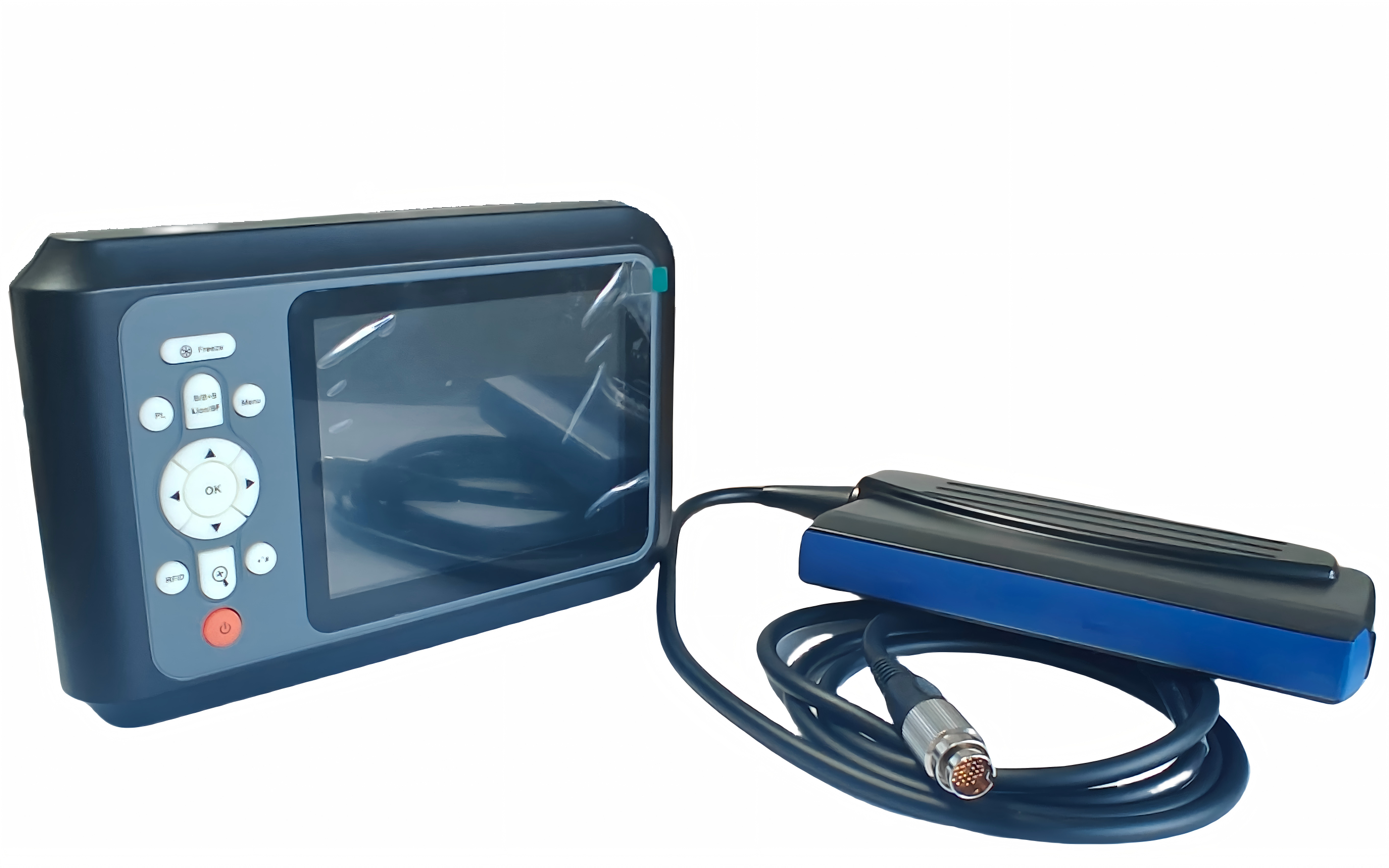 ultrasonography in animals ultrasonography in animals