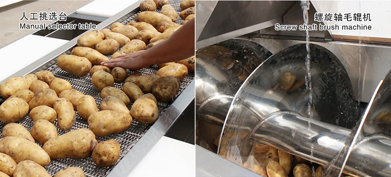 potato processing line potato processing line
