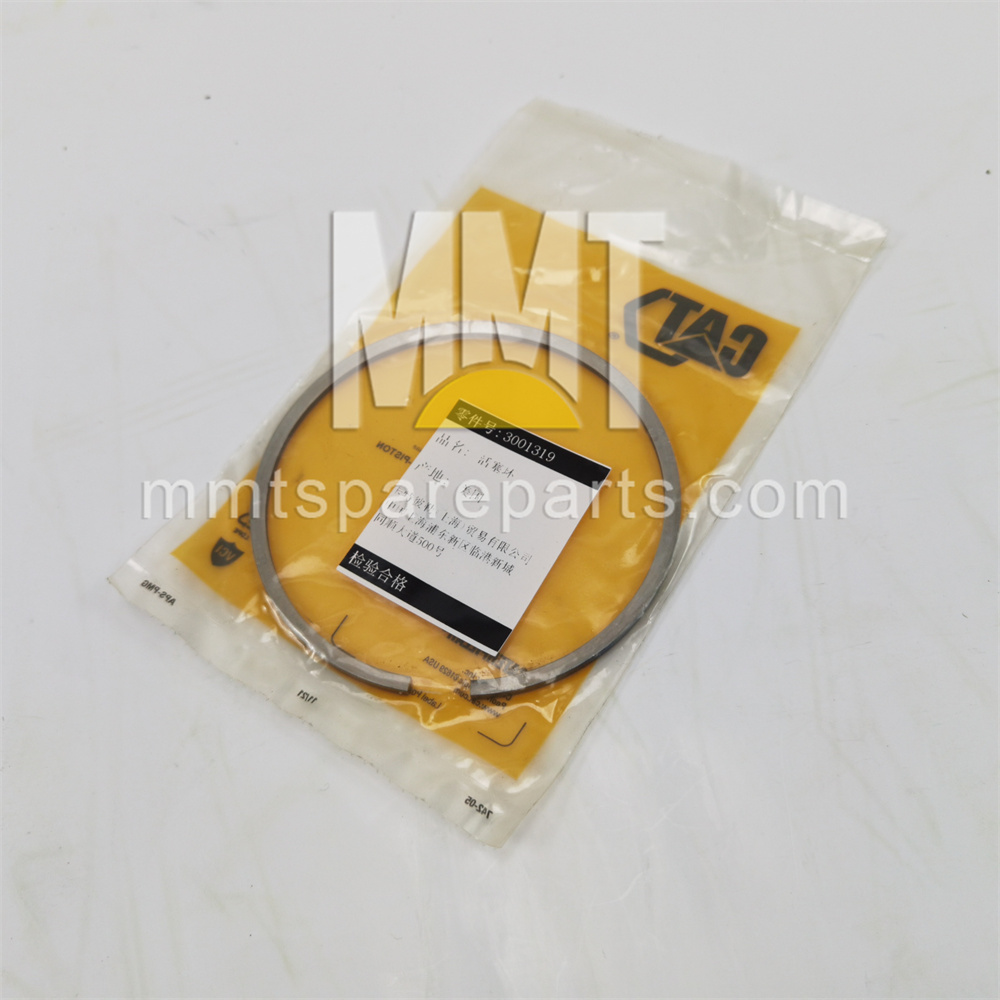 Piston ring 300-1319 Piston ring 300-1319