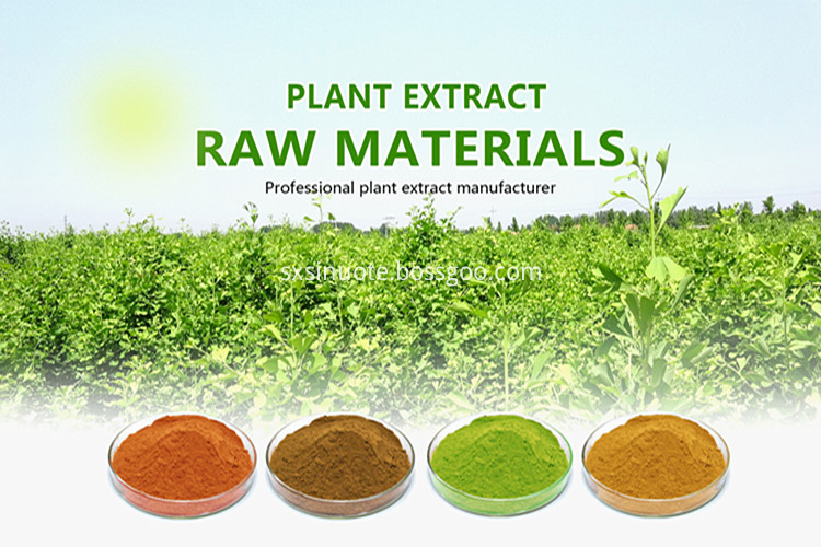 Herbal Extract Herbal Extract