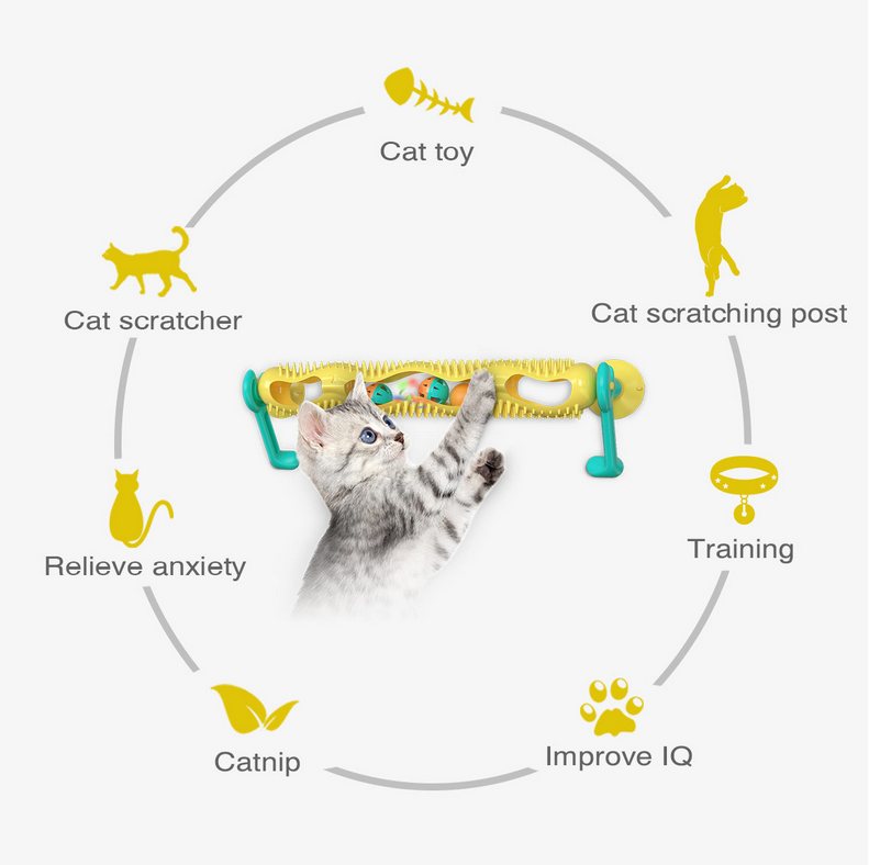 Cat Toy Cat Toy