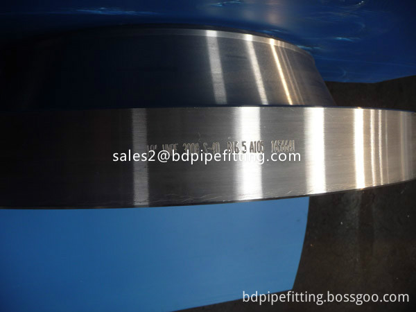Brida de acero inoxidable Stainless Steel Flange