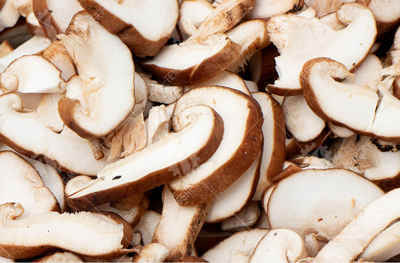 industrial mushroom slicer industrial mushroom slicer