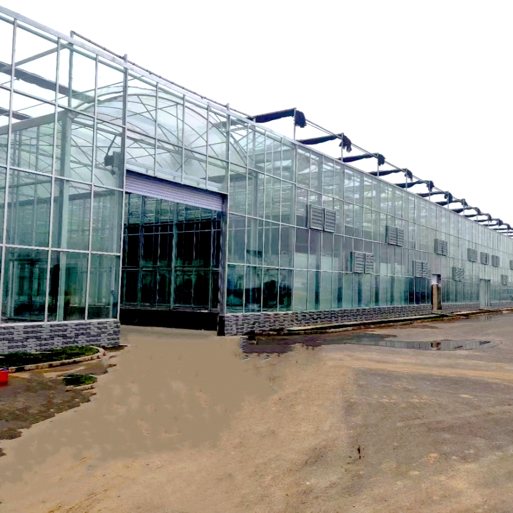 Arched Glass Greenhouse Arched Glass Greenhouse