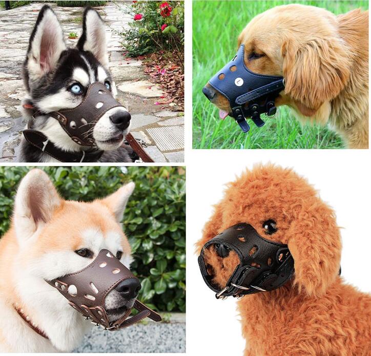 Dog Muzzles