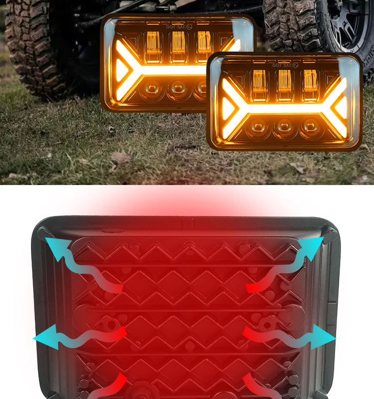 231203 231203