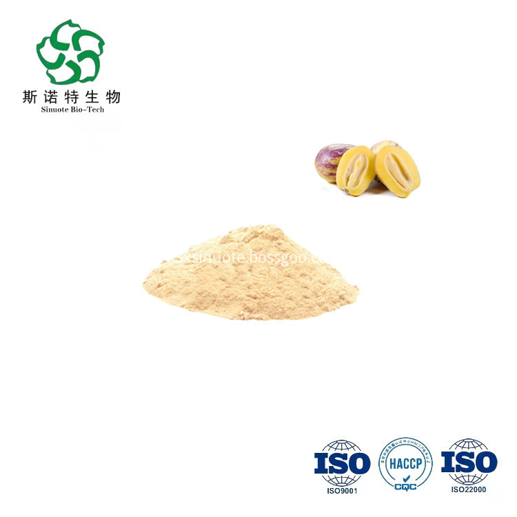Ginseng Fruit Powder Ginseng Fruit Powder