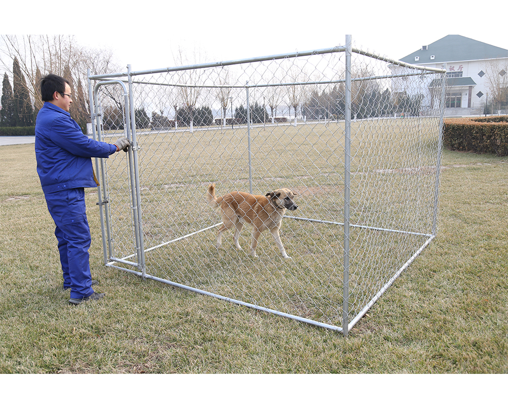 Chenil en métal Metal Dog Kennel