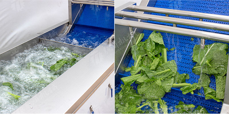 vegetable cleaner machine vegetable cleaner machine