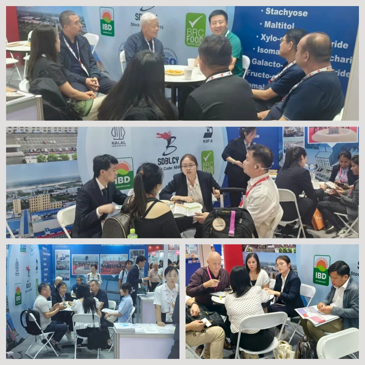 exhibition exhibition