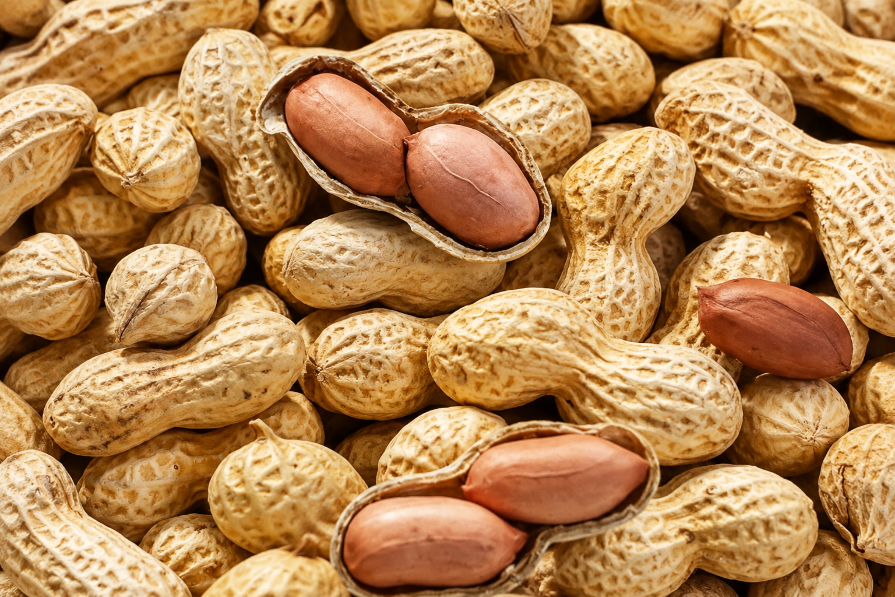 Garlic Peanuts Snacks1 Garlic Peanuts Snacks1