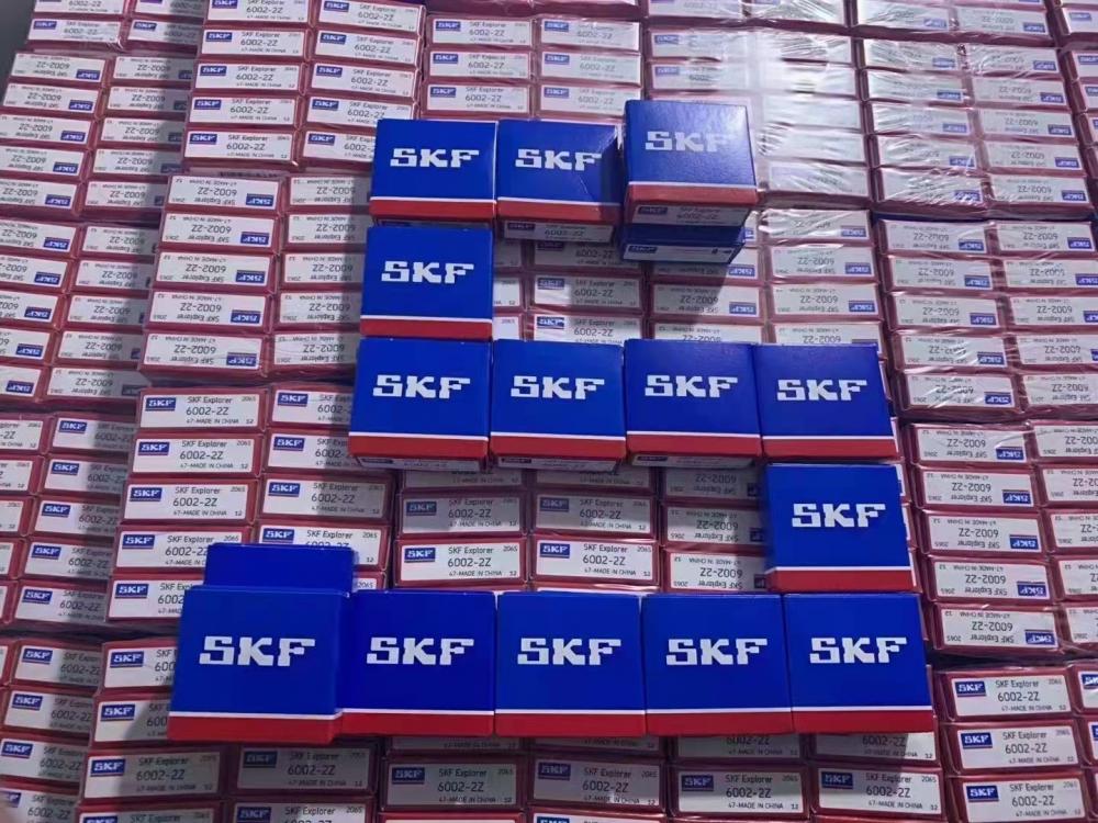 Skf Bearing