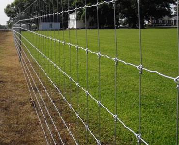 Fixed knot fence