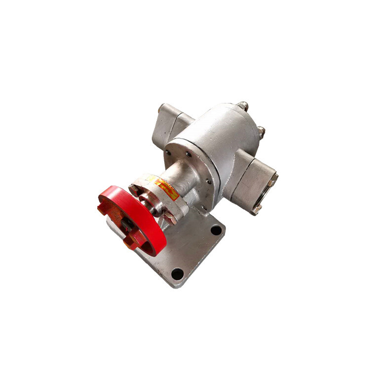 Stainless Steel Gear Pump Oil Lubricating Oil Pump Head 304ss Matching Pump6 Stainless Steel Gear Pump Oil Lubricating Oil Pump Head 304ss Matching Pump6