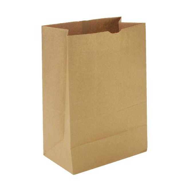 kraft storage bag