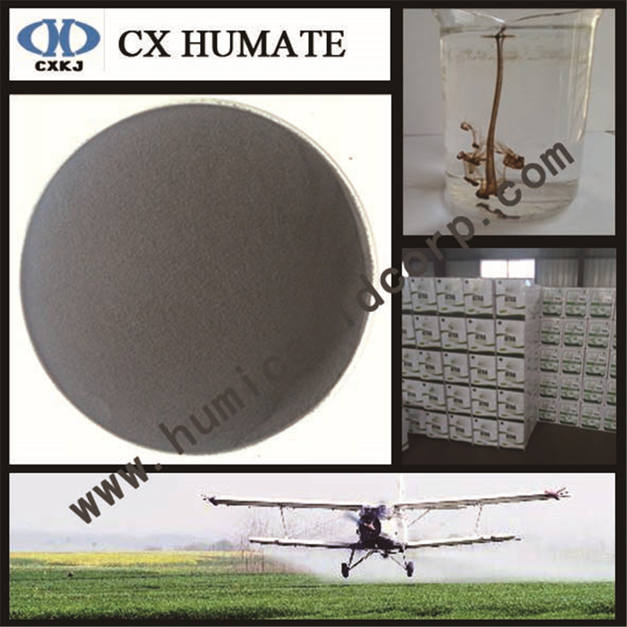 12 K2o Potassium Humate