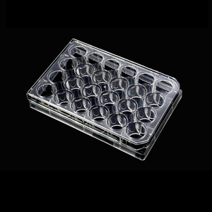 24-well Flat Bottom Cell Culture Plate