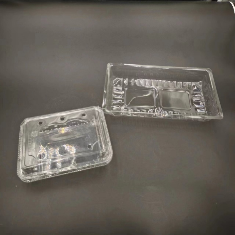 PET Food Tray-002 PET Food Tray-002