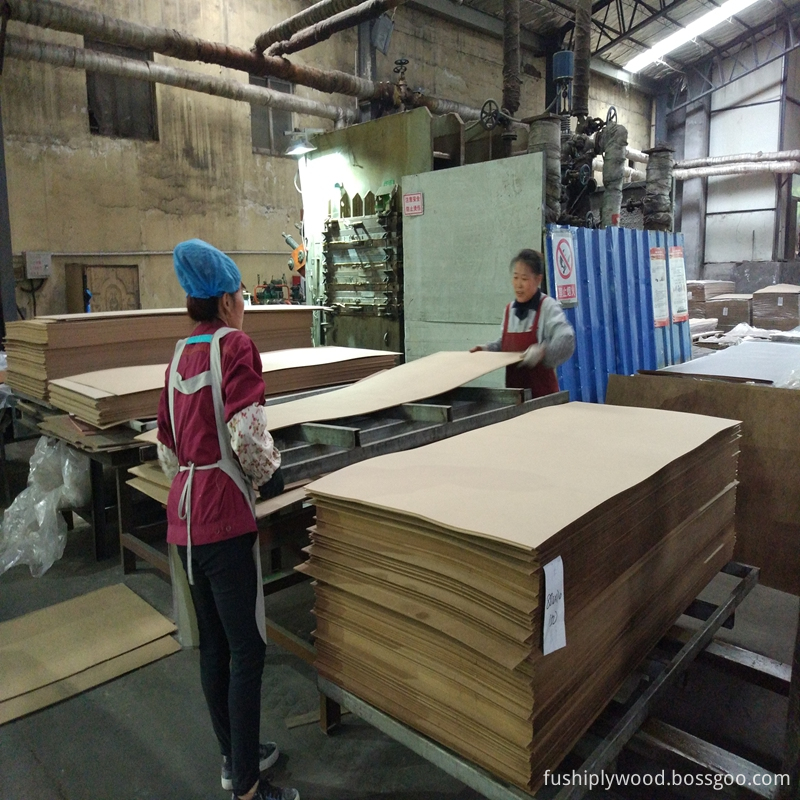 Veneer Skin Door