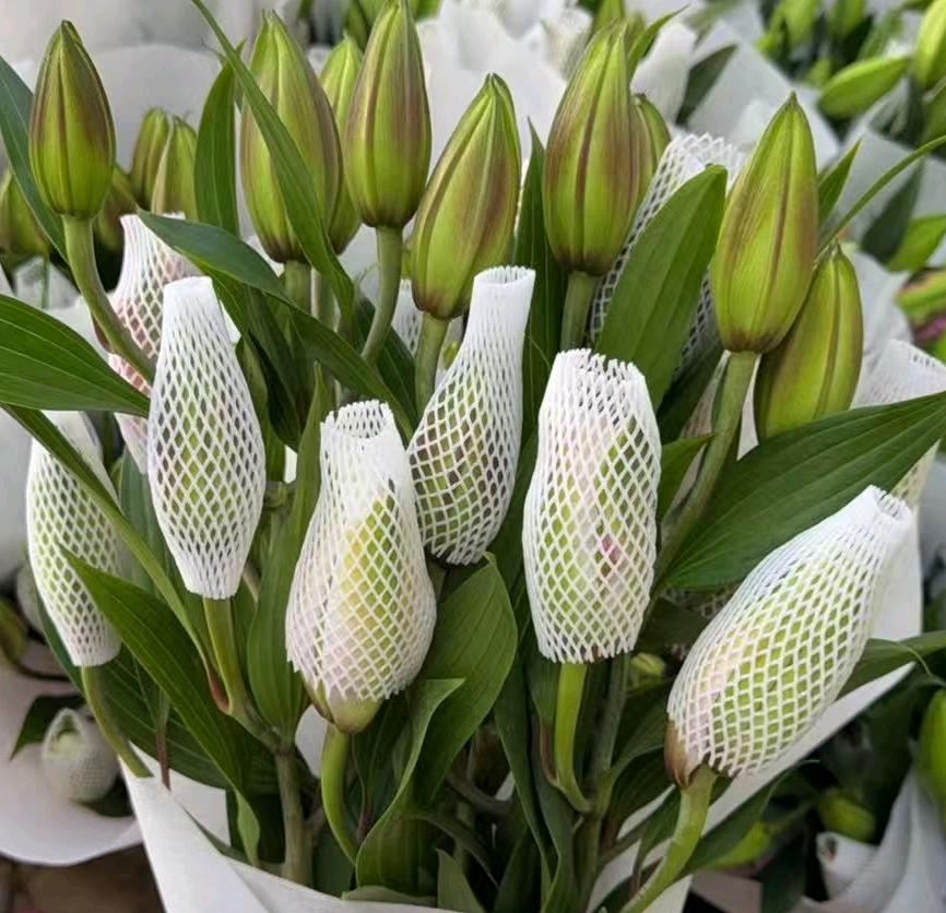 Isabella Double Spray Lily Isabella Double Spray Lily